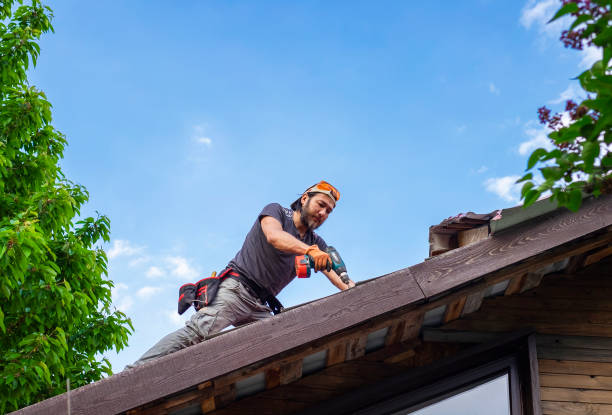 Best Cold Roofs  in Fulton, IL