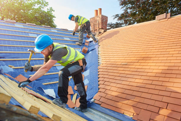 Best Flat Roofing  in Fulton, IL